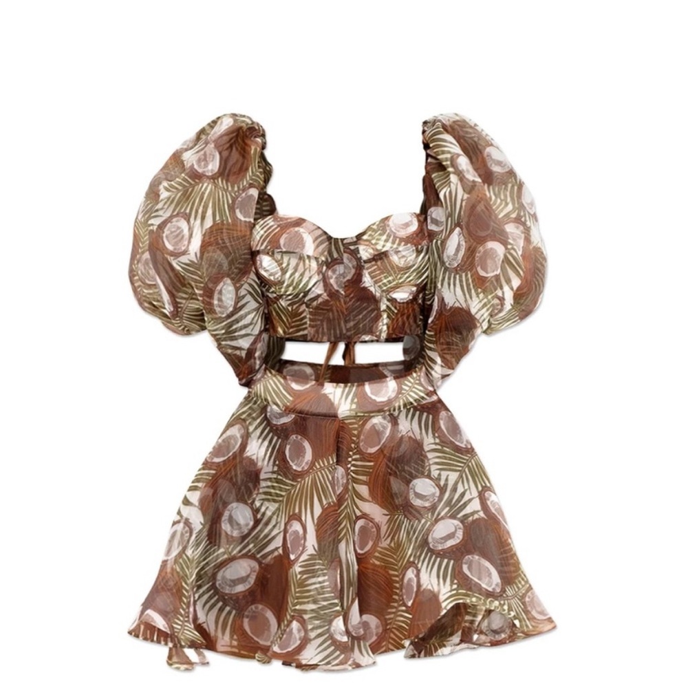 Brown and White Puff Sleeve Dress